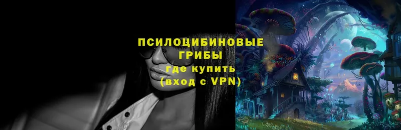 Псилоцибиновые грибы Magic Shrooms  Красногорск 